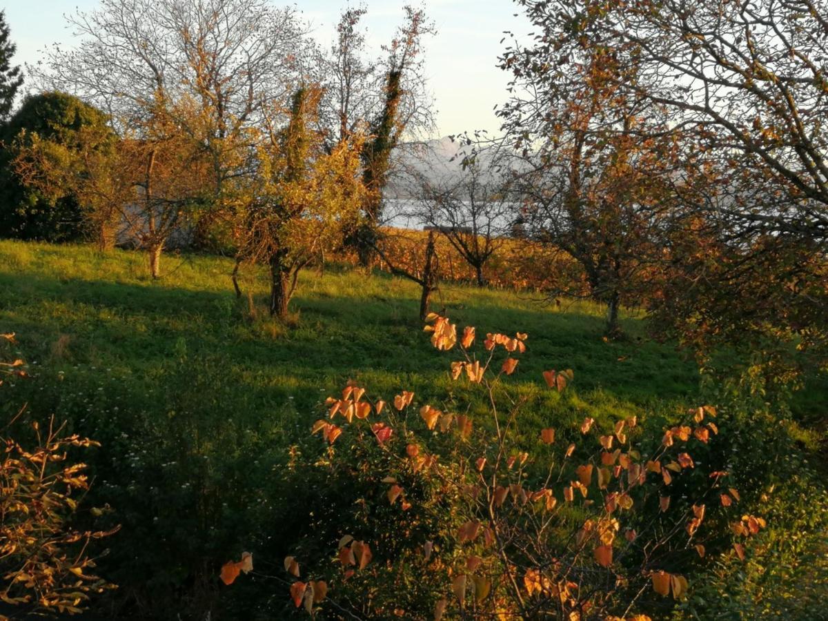 Haus Meersburg Garten Kültér fotó