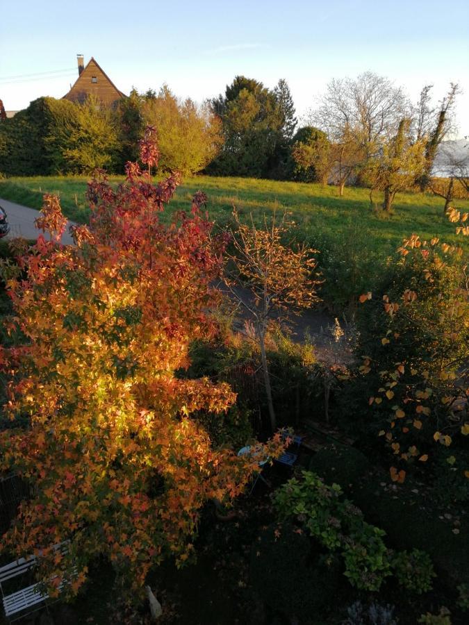 Haus Meersburg Garten Kültér fotó