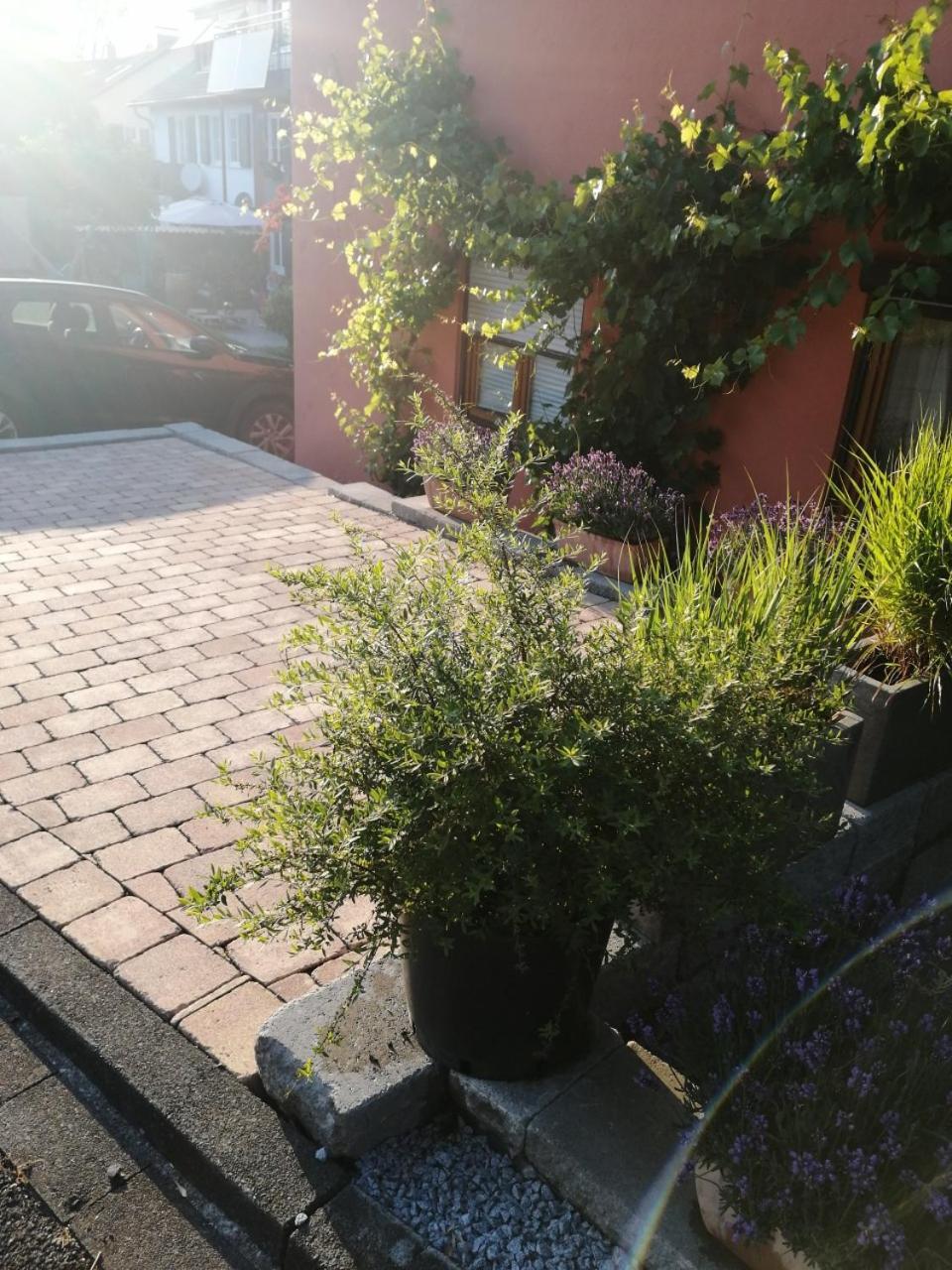 Haus Meersburg Garten Kültér fotó