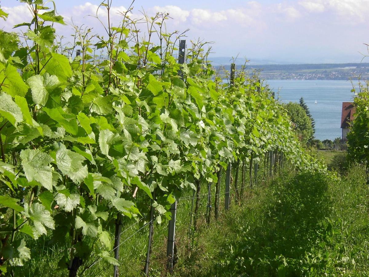 Haus Meersburg Garten Kültér fotó