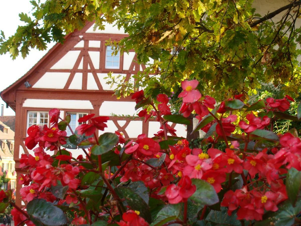 Haus Meersburg Garten Kültér fotó